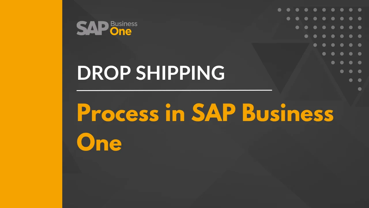 Drop Ship Process in SAP