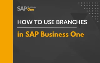 How to use branches in SAP Business One