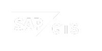 SAP GTS Logo SAP GTS Logo