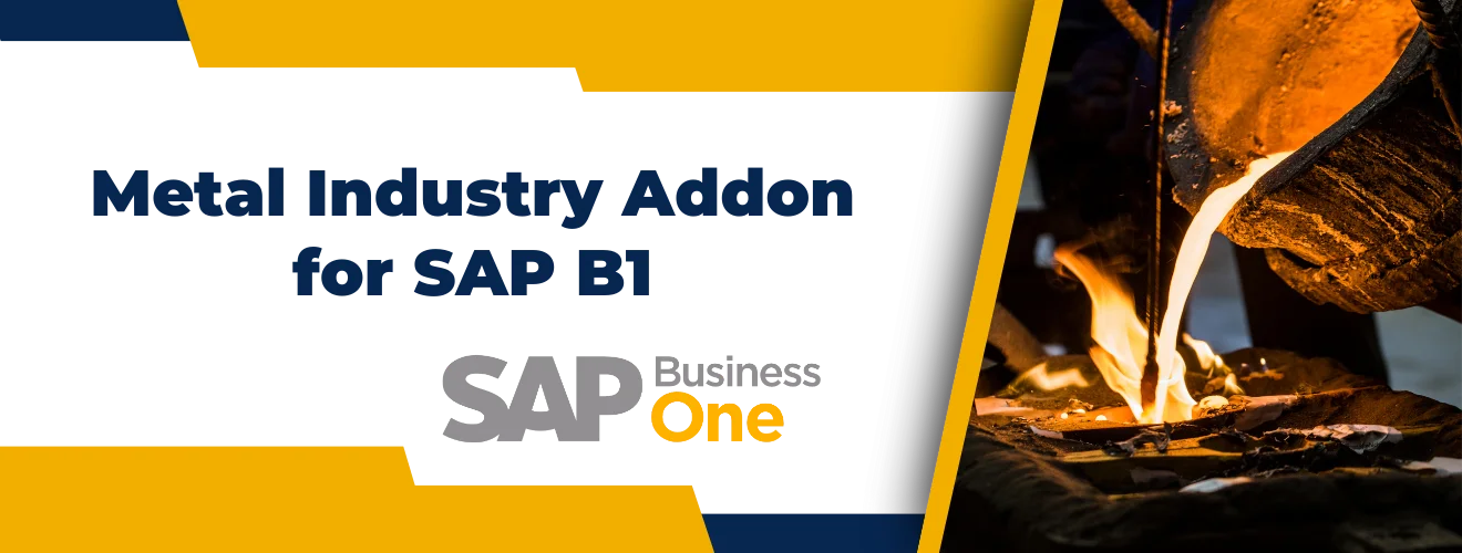 budget addon for sap b1