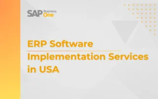 ERP Software Implementation Services in USA