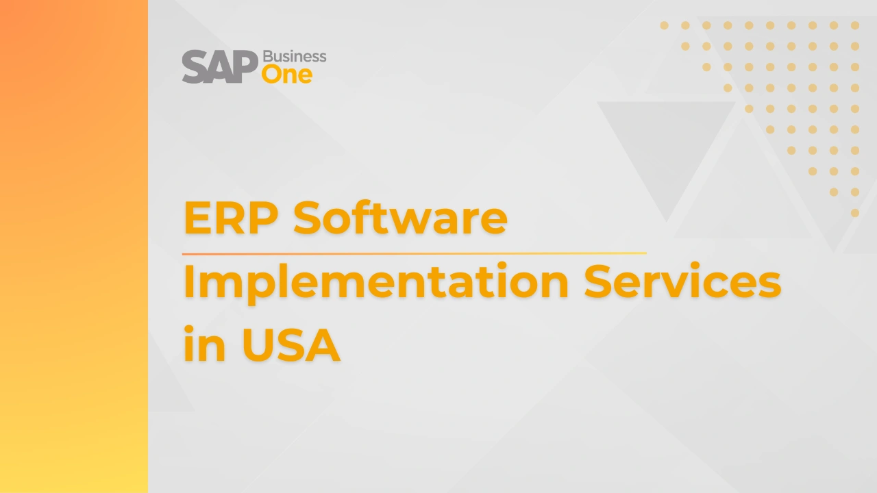 ERP Software Implementation Services in USA