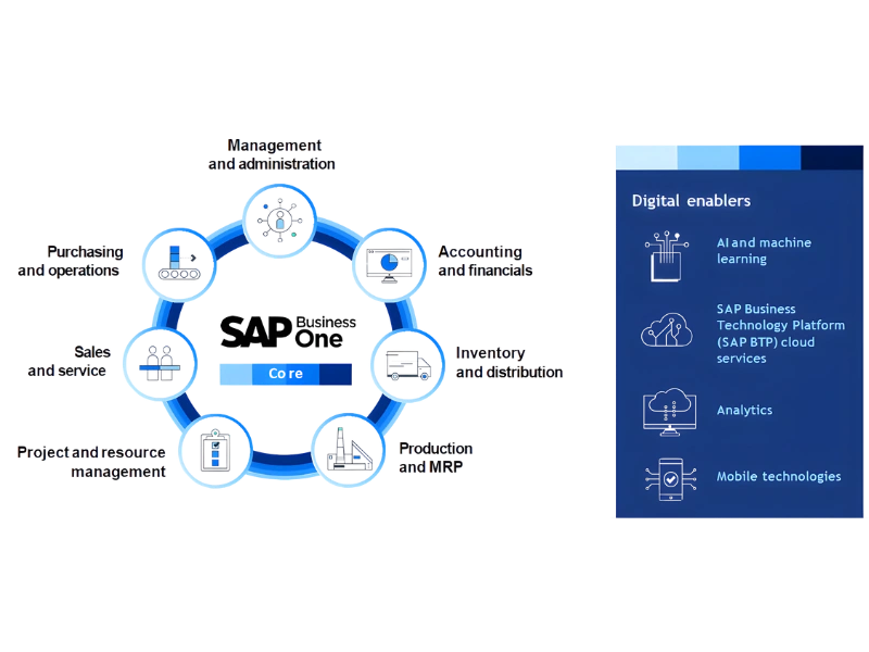 Kabeer SAP B1 Demo video page image