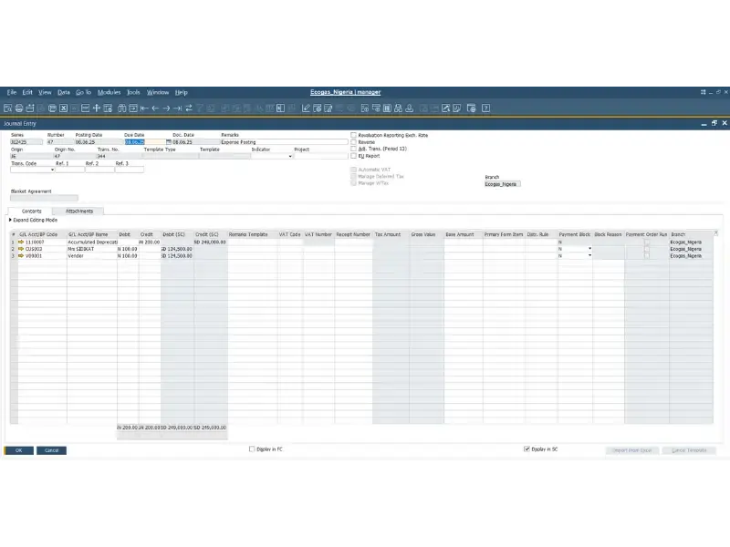 Posted Journal Entry