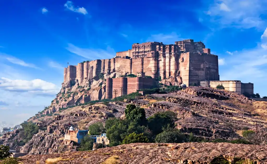 SAP B1 Partner in Jodhpur